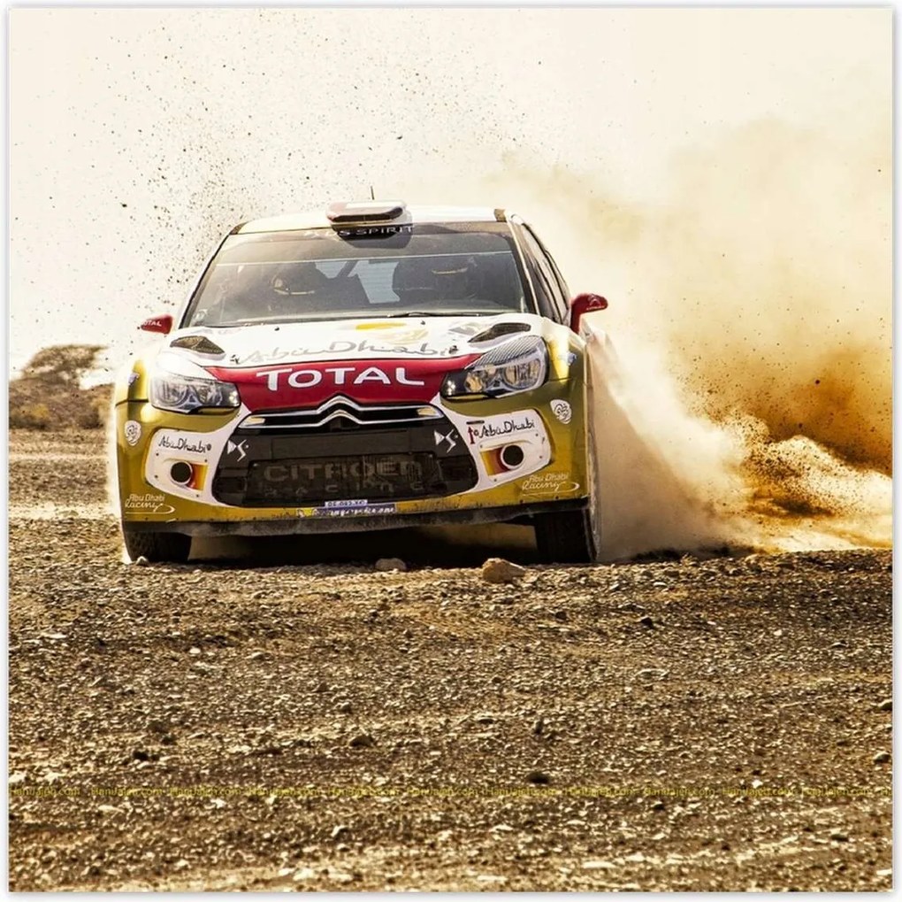 Poszterek 100x100 Rally