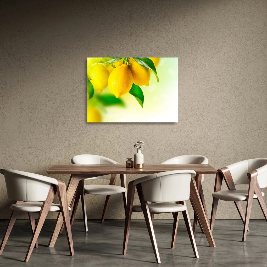 A citrom képe (üvegen) (70x50 cm)