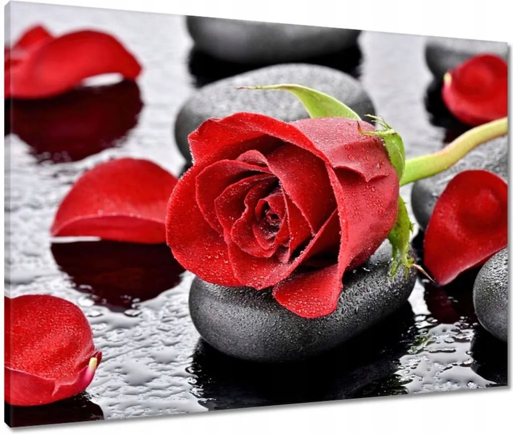 Vászonkép 80x60 Vörös rózsa Neki