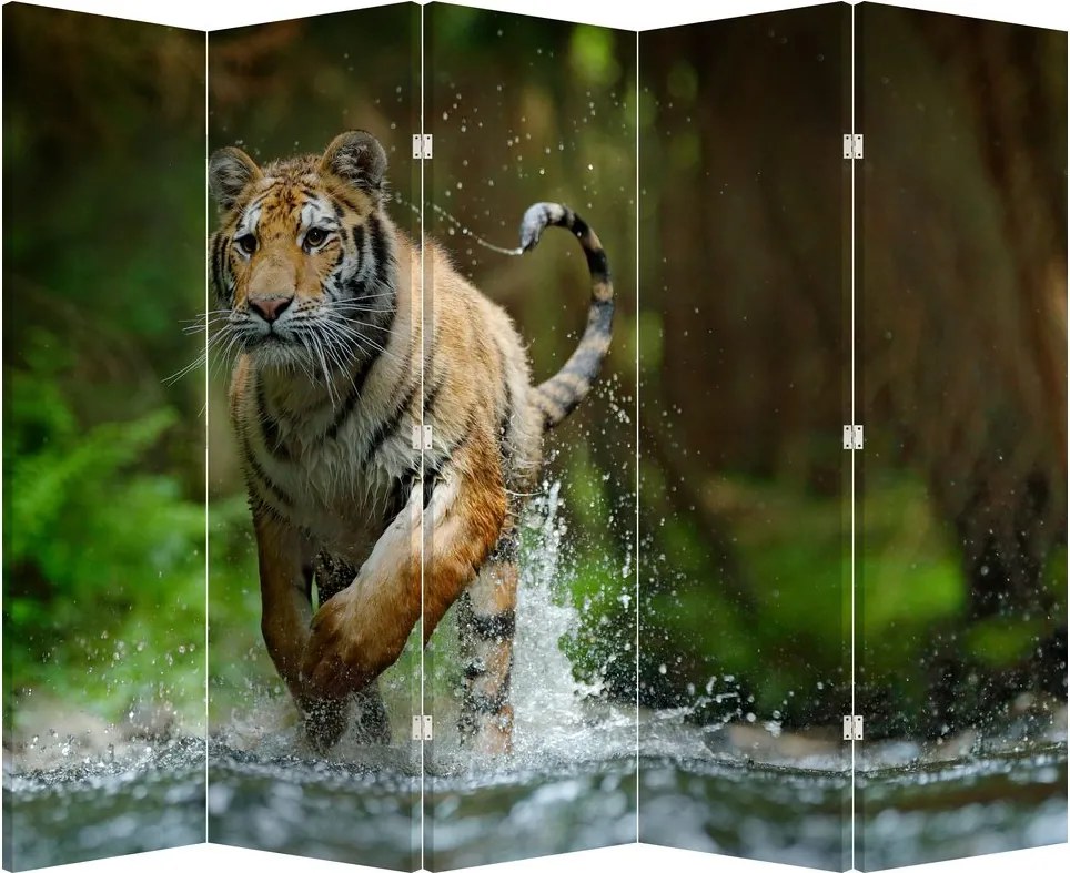 Paraván - Futó tigris (210x170 cm)