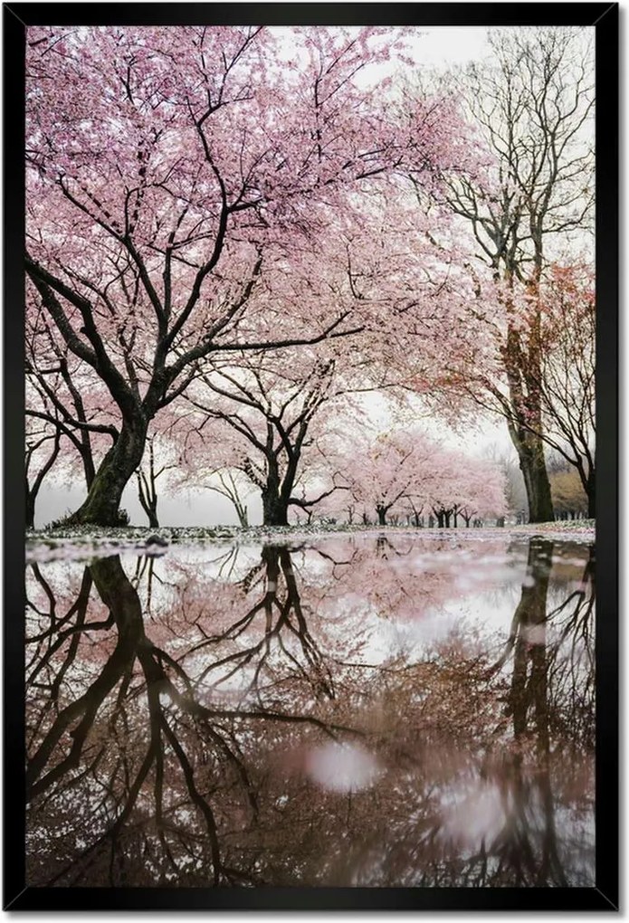 Poszterek keretben 40x60 Fa Kilátás