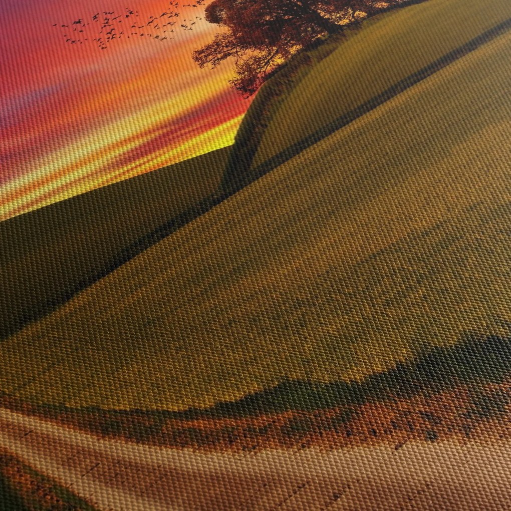 Mezei naplemente képe (90x60 cm)