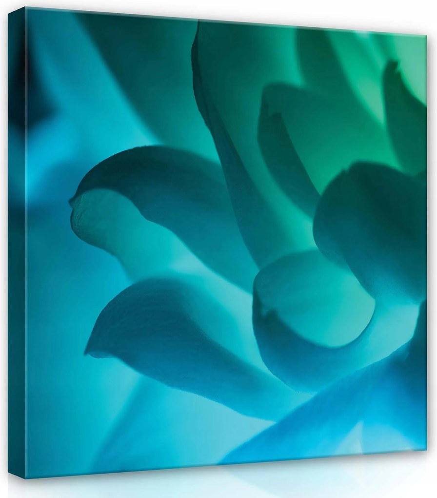 Vászonkép 80x80 Kék lótusz virág makró szirmok kék türkiz nyugalom természet