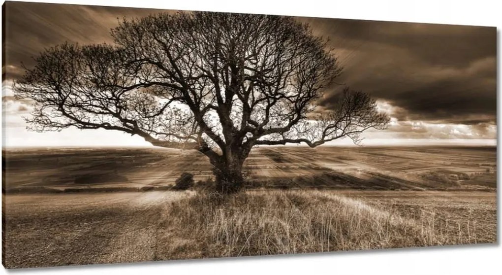 Festmények 115x55 Tájkép varázslattal