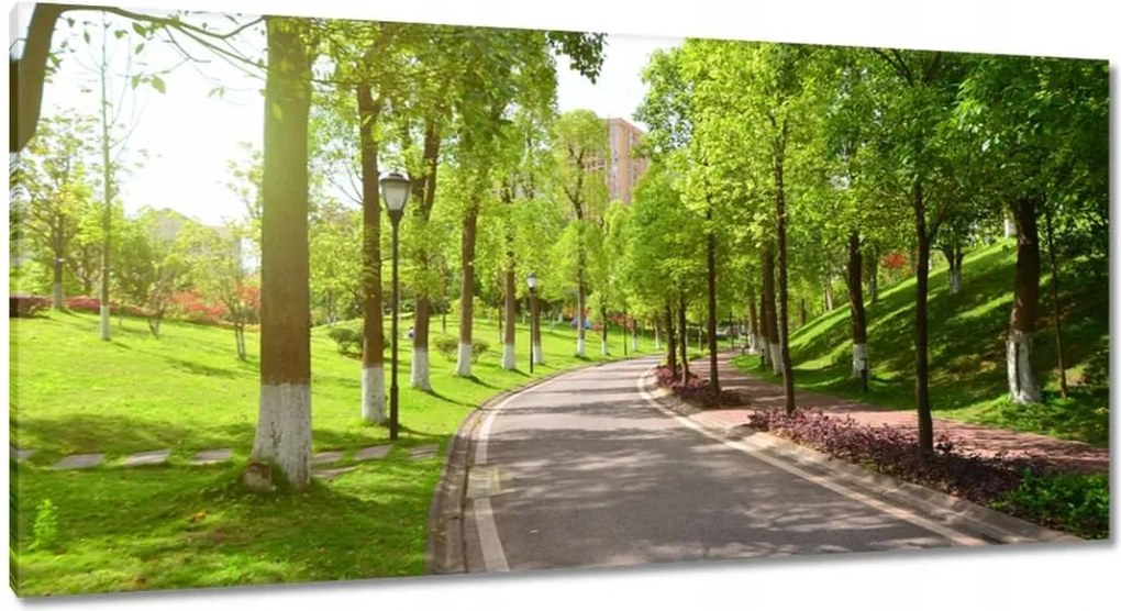 Vászonkép 115x55 Ösvény a parkban természet