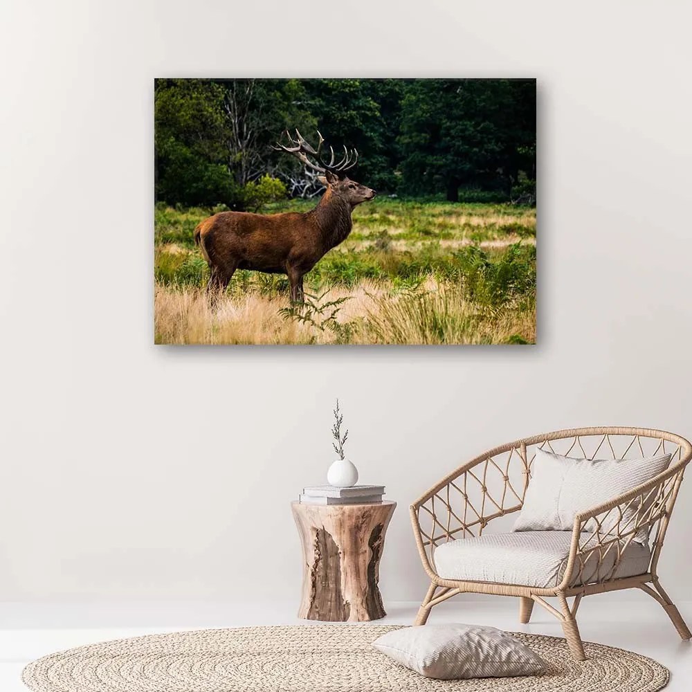 Gario Vászonkép Ordító szarvas Méret: 100 x 70 cm