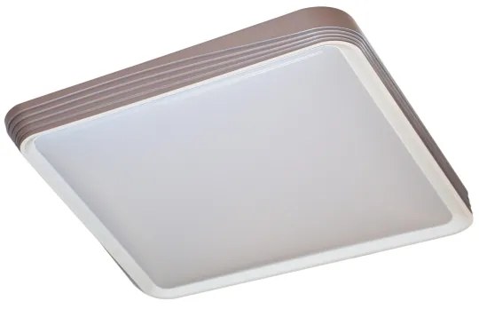 Rabalux 71166 - LED mennyezeti lámpatest DRUZOR LED/40W/230V 3000K