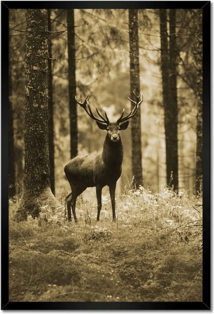 Poszter keretben 40x60 Szarvas a szépia erdőben