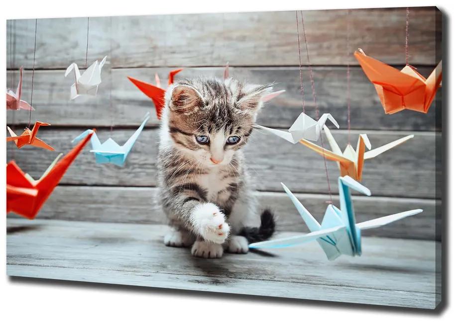 Vászonkép Cat papír madarak pl-oc-100x70-f-66724934