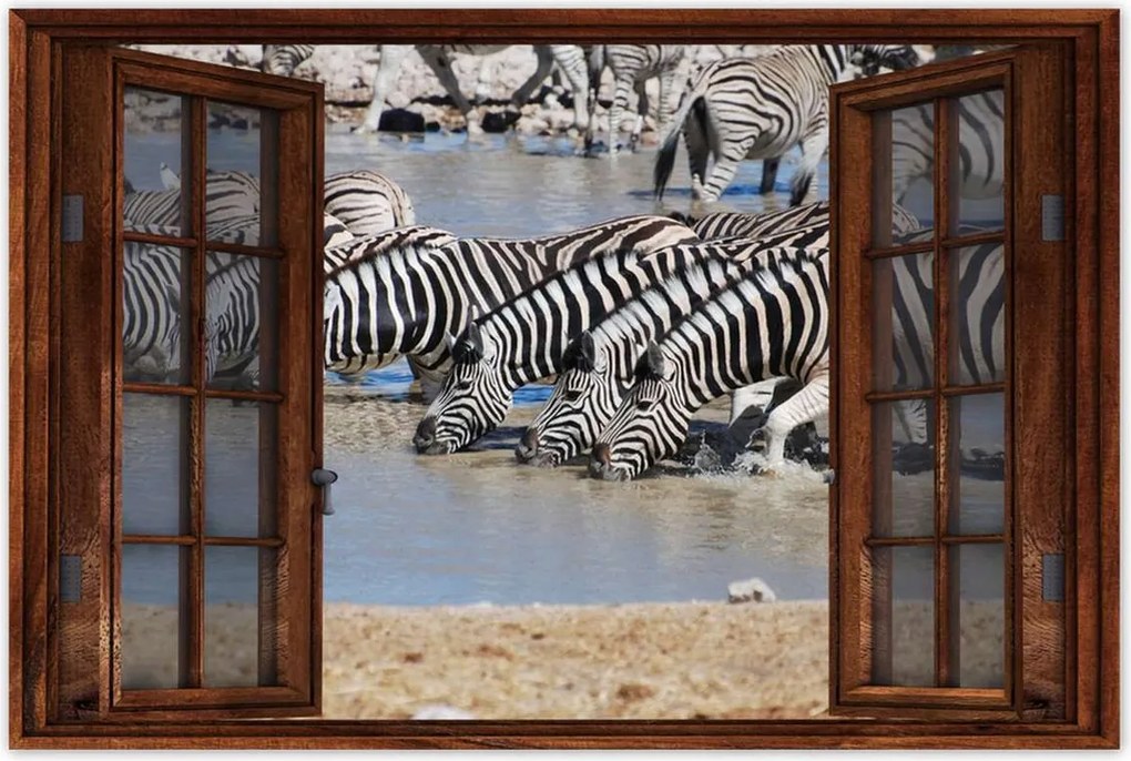 Poszterek 90x60 Zebrák a vízparton