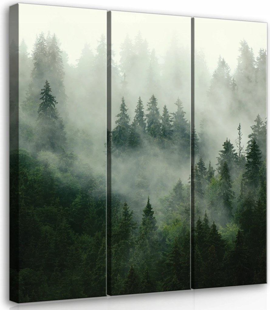 Vászonkép Erdő A Ködben Triptichon 3 Vászonkép Falikép 90x100