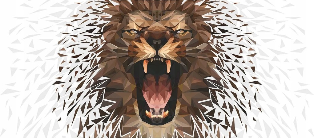 Fotótapéta Geometrikus oroszlán sörény 250x104 modern stílus +ragasztó