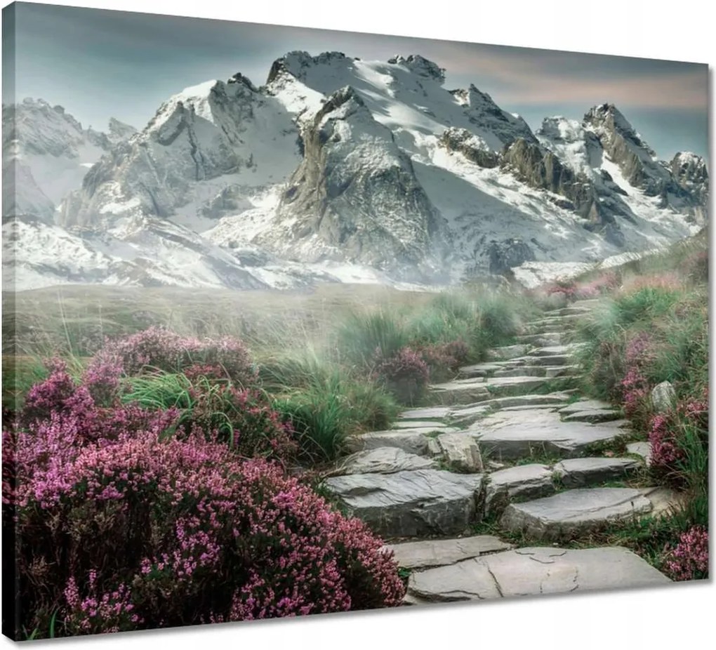 Vászonkép 50x40 Hegyi kilátás Tájkép Köd