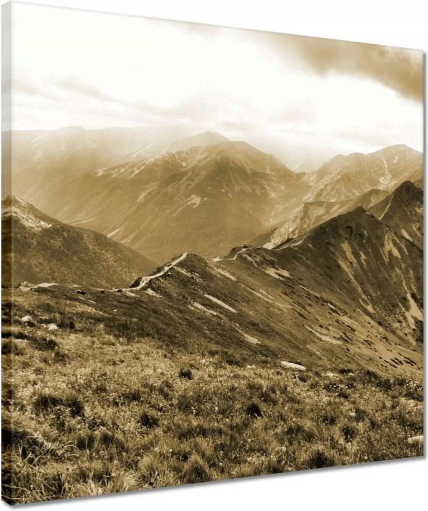 Vászonkép 40x40 Tátra Lengyel hegyek Kilátás