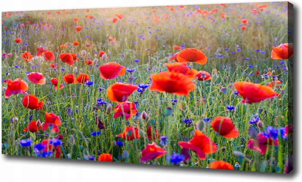 Nagyméretű vászonkép Mezei virágok 120x60 cm