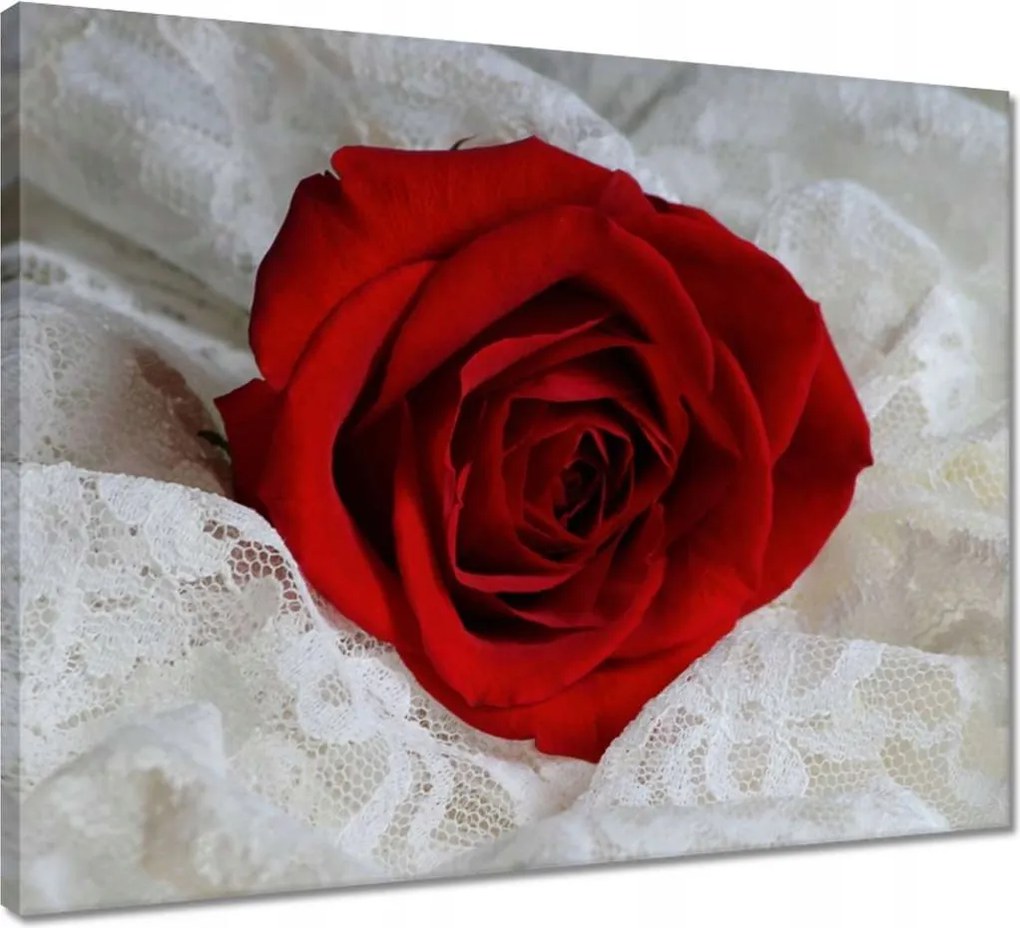 Vászonkép 50x40 Kedves ajándék a kedvesedtől