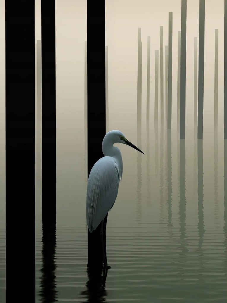 Poszter 60x80cm Köd a vízen