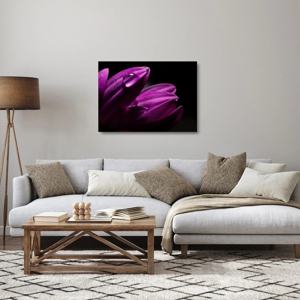 Kép - Vízcsepp (üvegen) (70x50 cm)