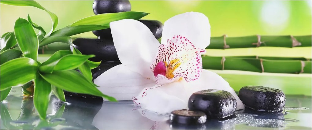 Fotótapéta Flizelin Dekoratív Hálószoba A természet nyugalma 250x104 Ragasztó