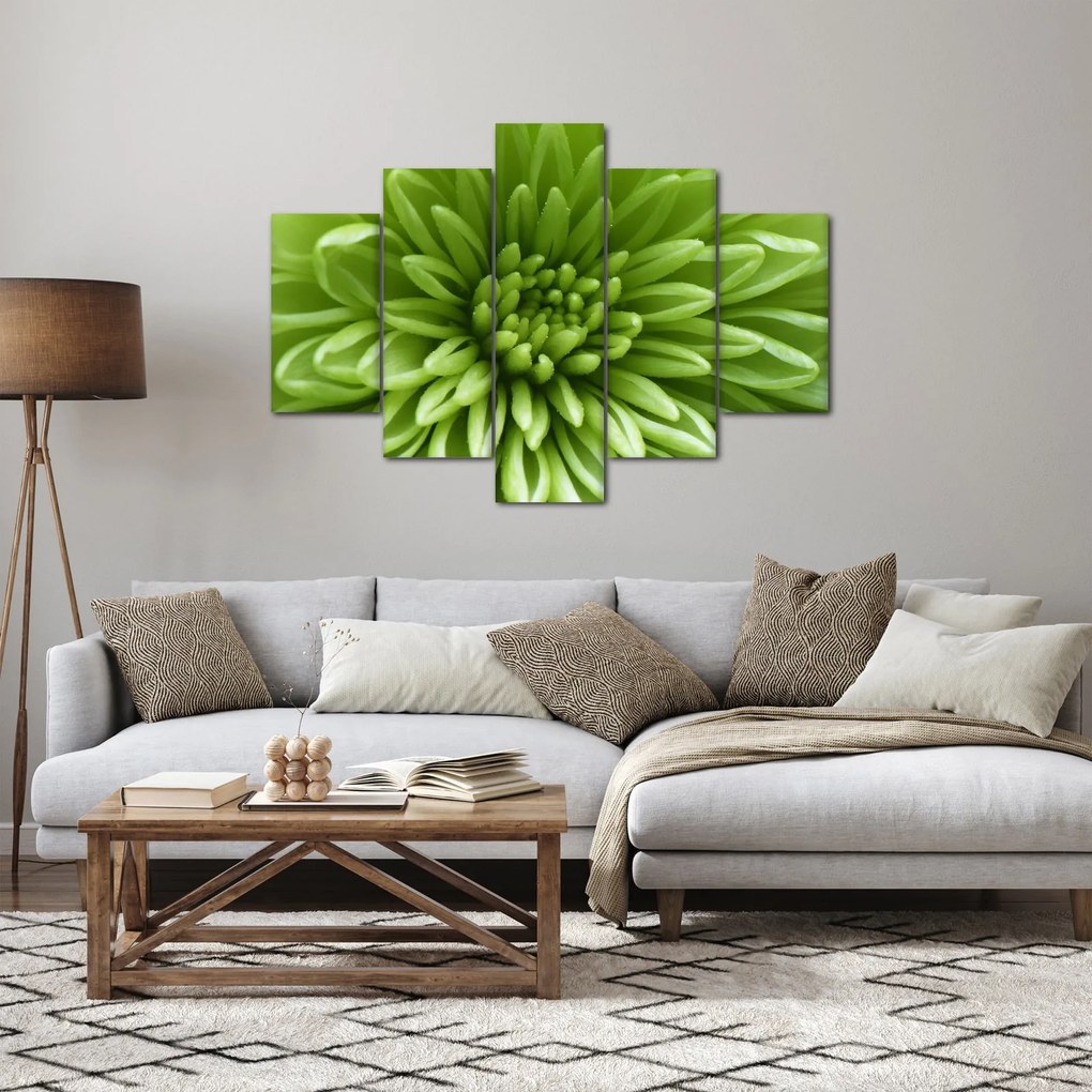 Kép - Makro kép egy növényről (150x105 cm)