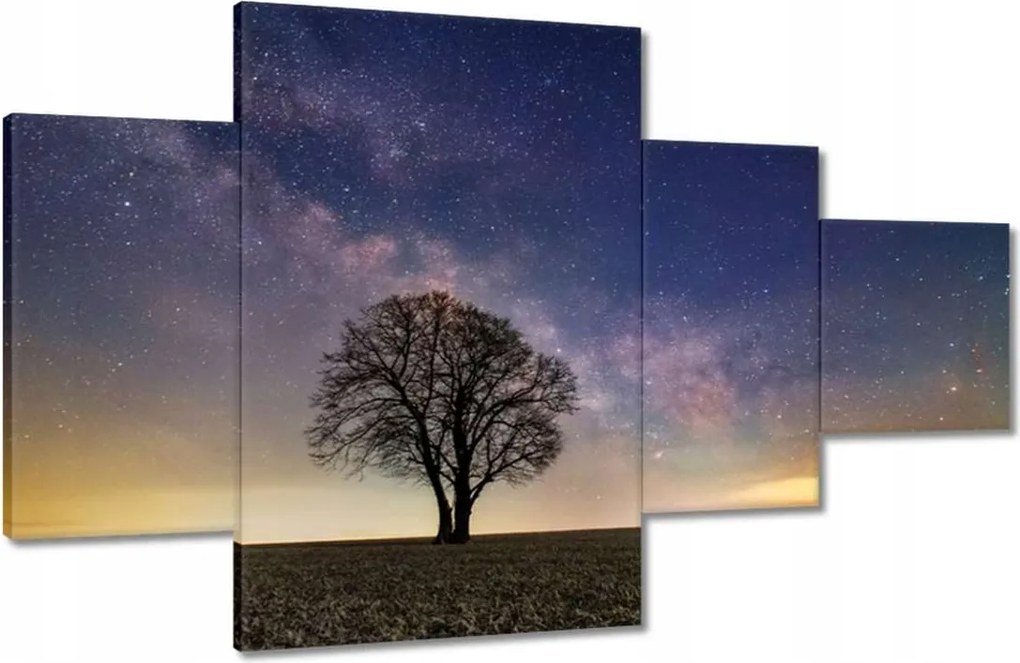 Vászonkép 130x80 Magányos fa és csillagok