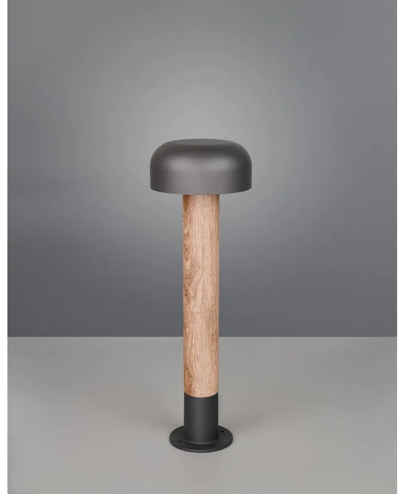 Kültéri oszlop lámpa ø 19 cm Fraser – Trio