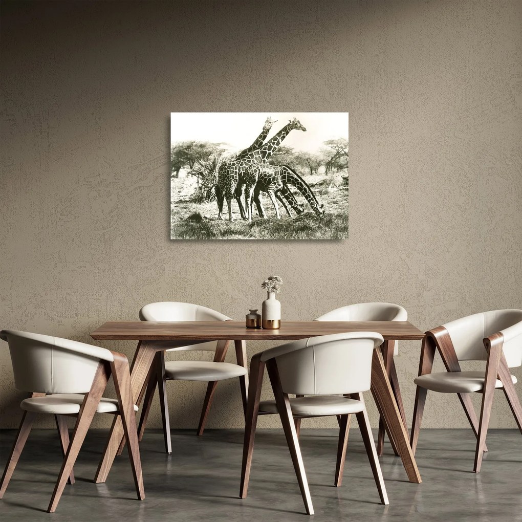 Üveg kép - Zsiráfok, vintage (70x50 cm)