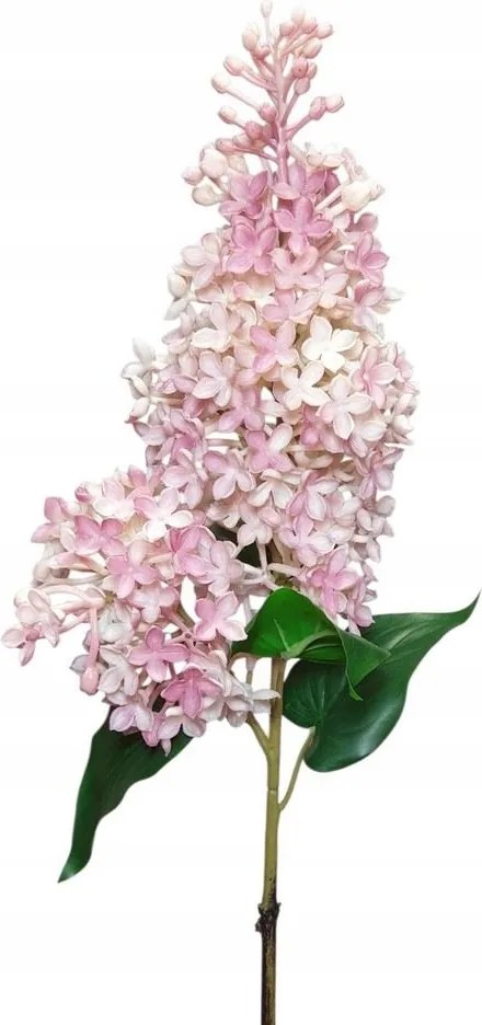 Szilikon Gumi rózsaszín lilakáposzta virág nélküli mű lila real touch rózsaszín