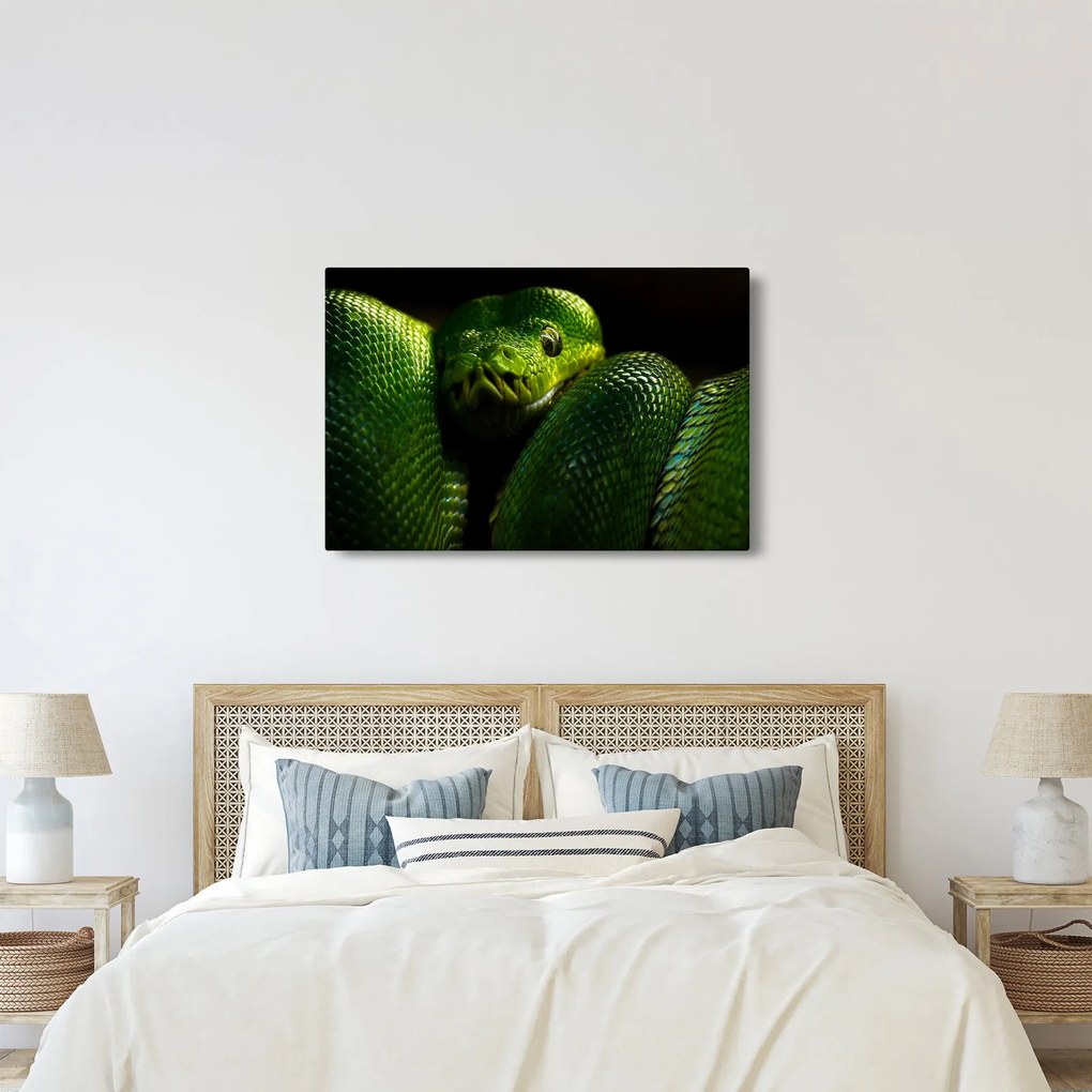 Kép - Zöld kígyó (90x60 cm)