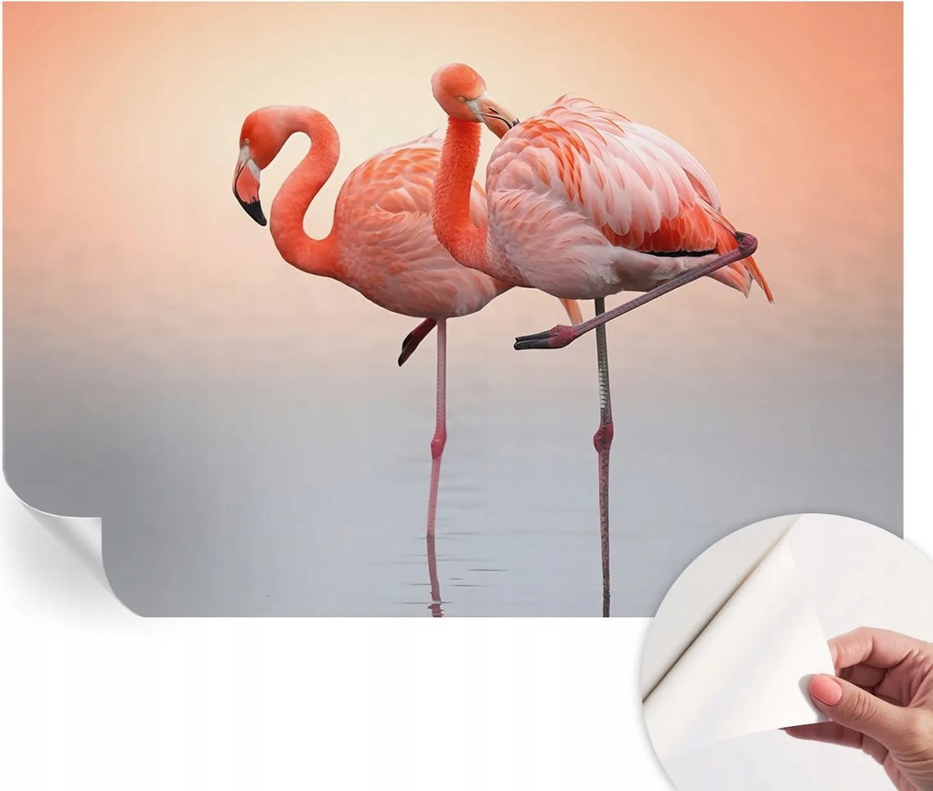 Öntapadós fotótapéta Divatos Finom flamingók 152x104 cm