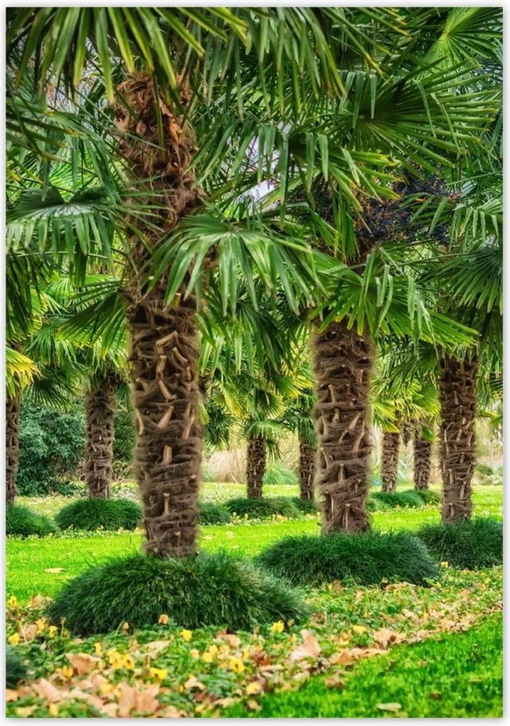 Poszterek 70x100 Tájkép