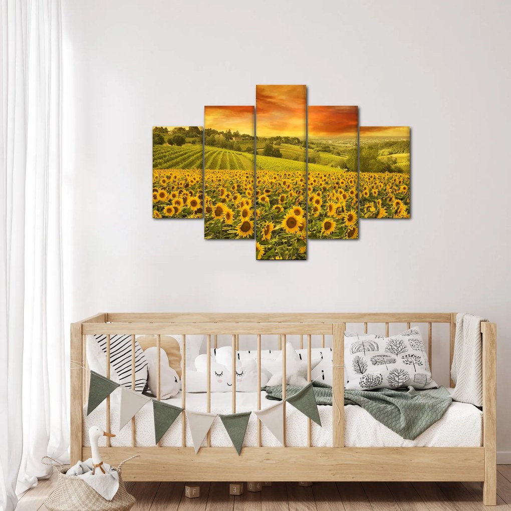 Kép - Napraforgó mező (150x105 cm)
