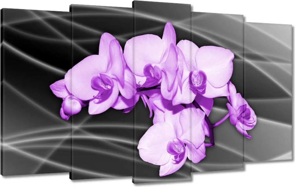 Vászonkép 100x60 Szép orchidea virág