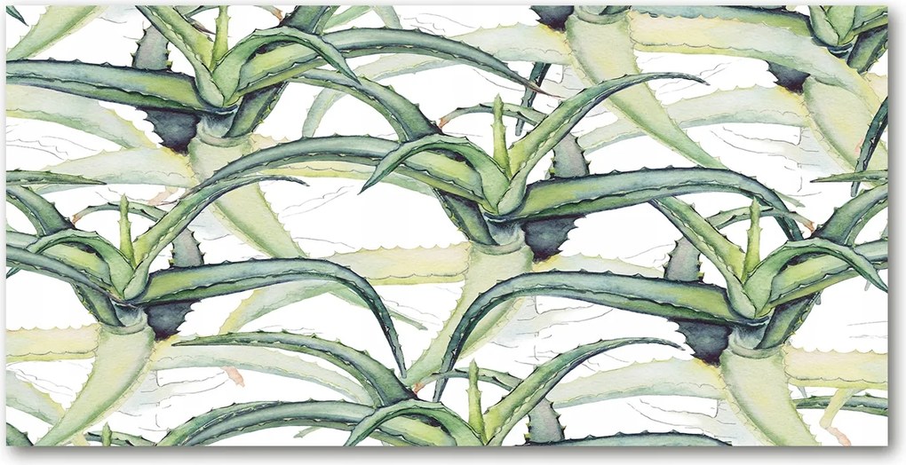 Üvegpanel konyhába Aloe vera 120x60 cm Ragasztó