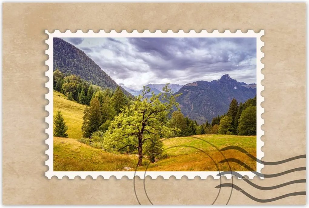 Poszterek 90x60 Fa az égig