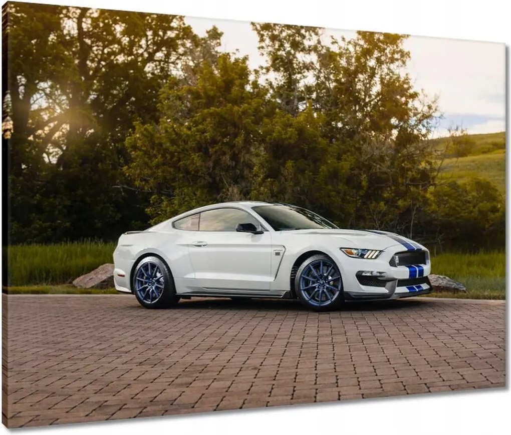 Vászonkép 80x60 Ford Mustang Usa autó