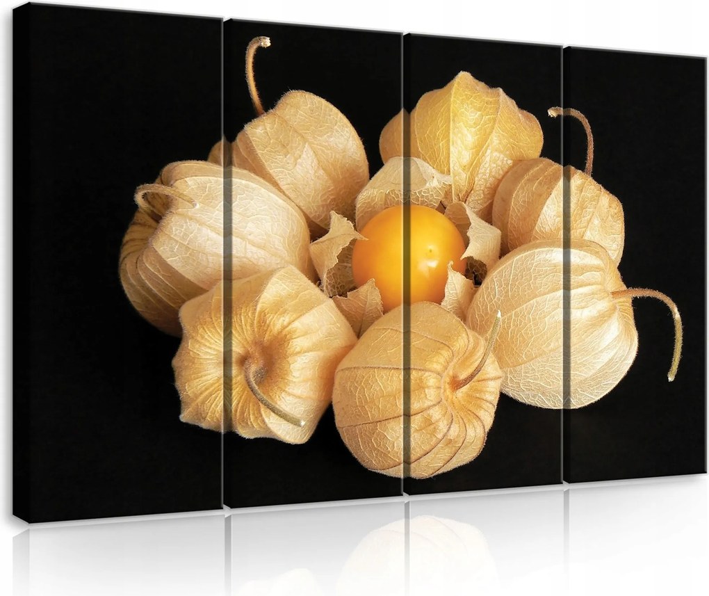 Vászonkép 120x80 Fizalis bogyó lampionok csendélet makro természet ősz