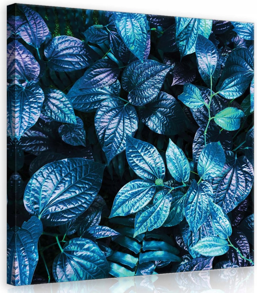 Vászonkép 40x40 Trópusi levelek kék árnyalatok egzotikus természet nyugalom