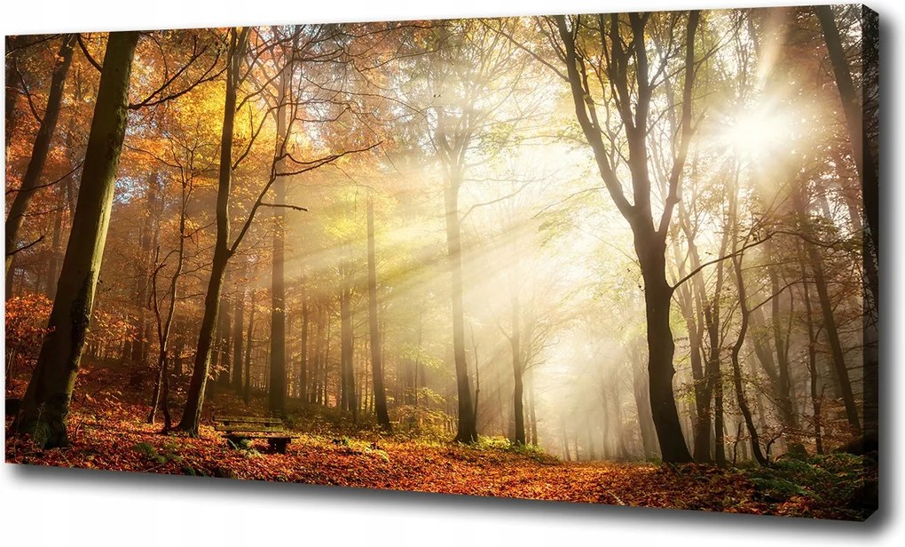 Nagyméretű vászonkép Köd az erdőben 100x70 cm