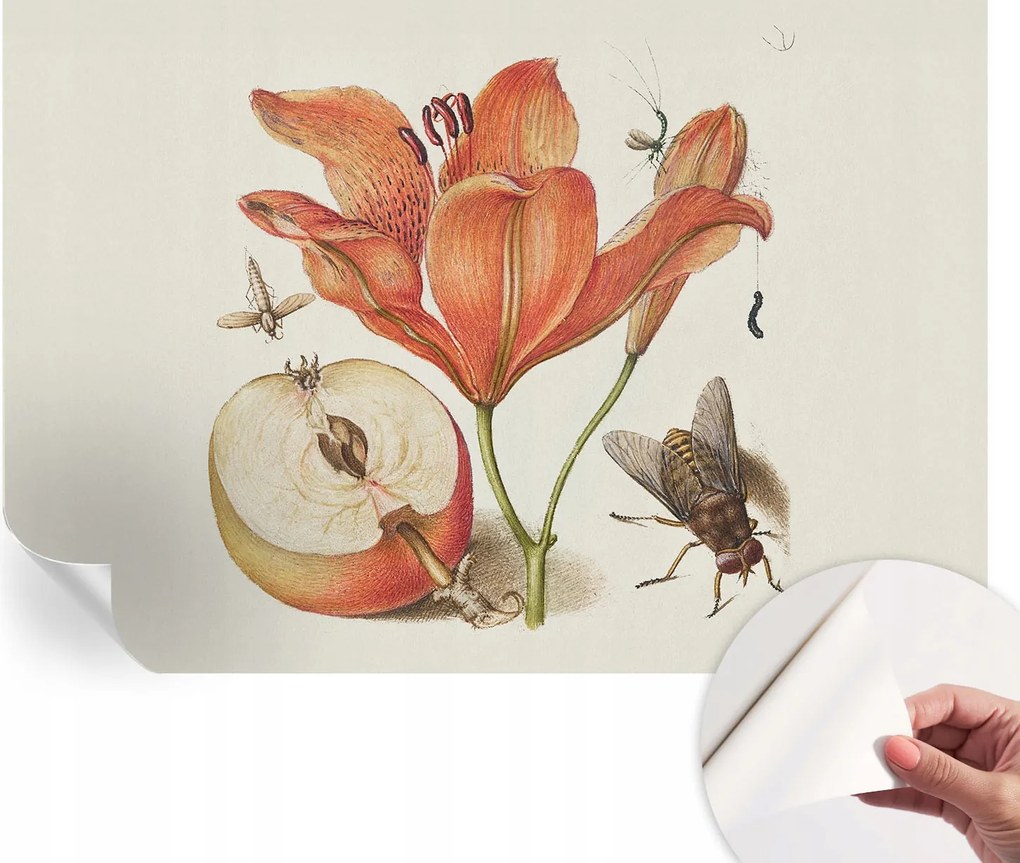 Dekoratív öntapadós fotótapéta az irodába Botanikus illusztráció 152x104