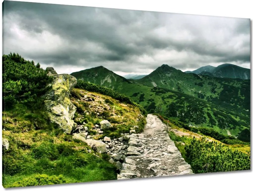 Festmények 120x80 Utak a Tátrában