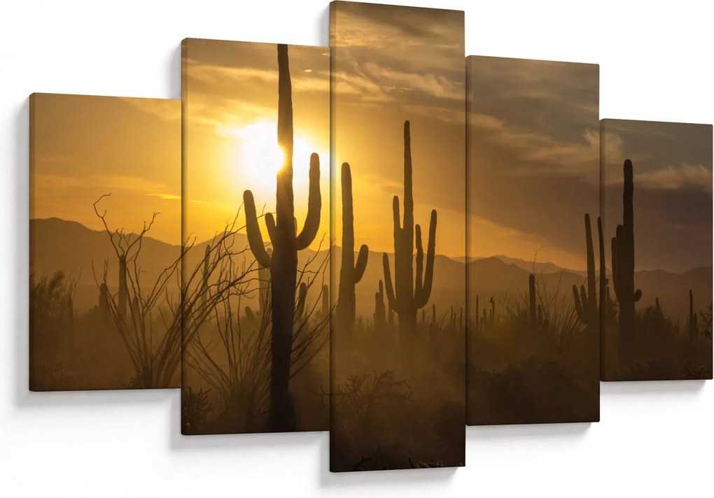 Kép - Saguaro kaktuszok (150x105 cm)