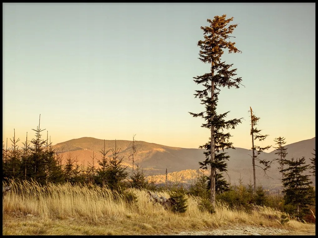 Tájkép hegyek fa erdő fű poszter 30x40cm