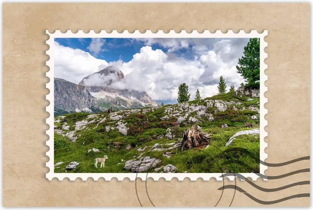 Poszterek 60x40 Bárány a hegyekben Kilátás