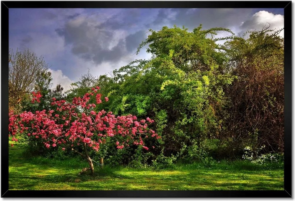 Poszterek keretben 60x40 Tájkép