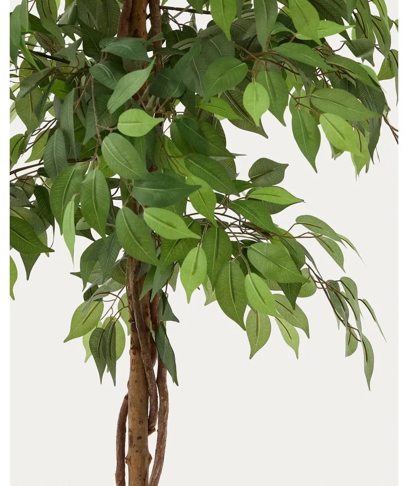 Fikusz műnövény (magasság 180 cm) Ficus – Kave Home