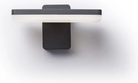 RED - Design Rendl-R11947- LED Kültéri fali lámpa RINA LED/12W/230V IP65