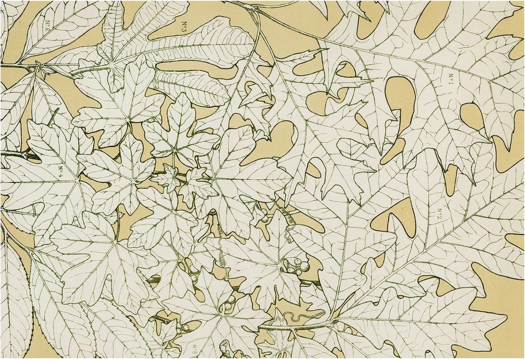 Flizelin tapéta Divatos 3D fali ragasztóval Falevelek 152x104 Ragasztó