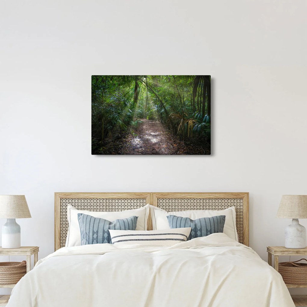 Kép - Napsugarak a dzsungelben (90x60 cm)