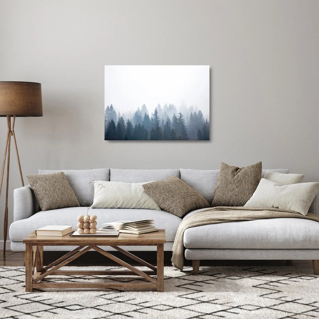 Üveg kép - Ködös erdő (70x50 cm)
